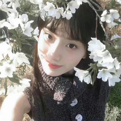 风流家族